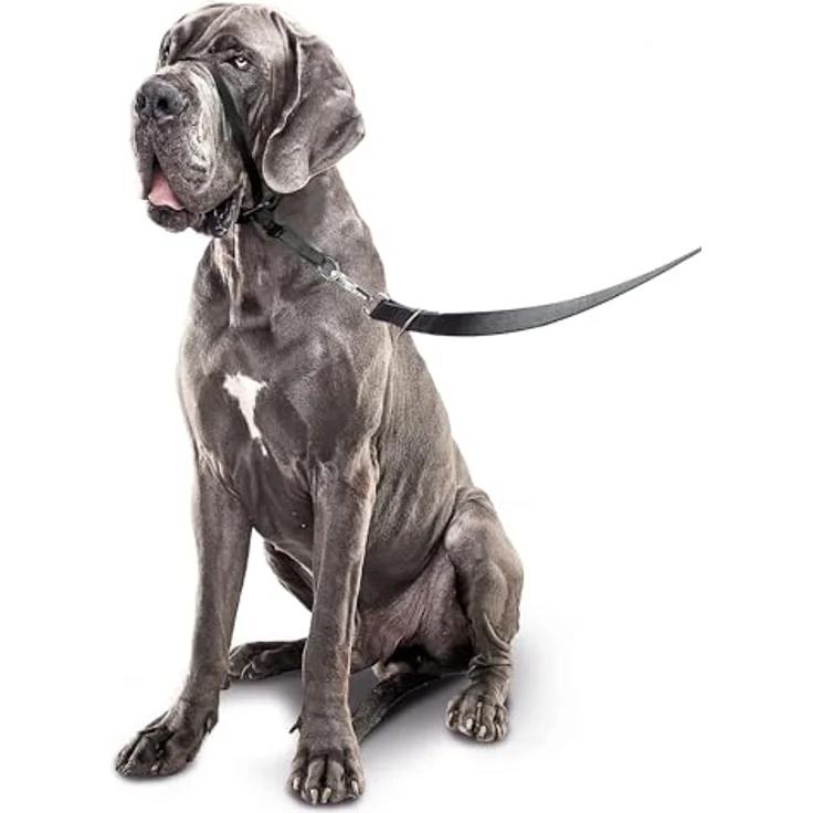 Beaphar - Gentle Leader - L - Schwarz - 1 Stück – Bild 3