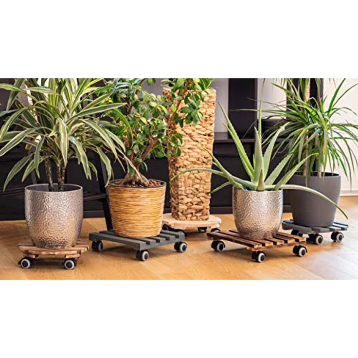 Metafranc Pflanzenroller Ø 300 mm - 60 kg Tragkraft - Kiefer-Platte - Grau - TPE-Rollen mit 2 Feststellern - Indoorroller - Blumenroller - Transporthilfe für Pflanzen - 825200 – Bild 8