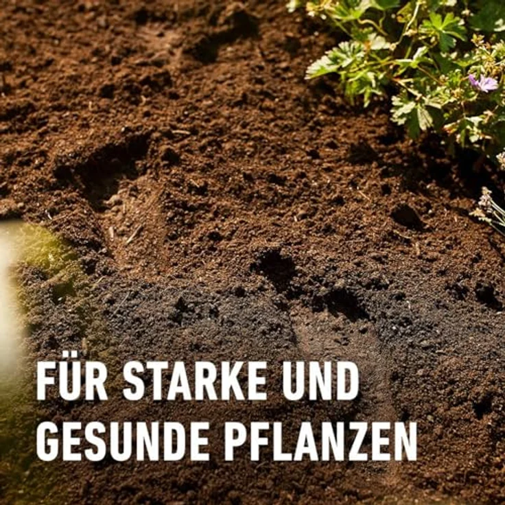 COMPO Bio Pflanzerde torffrei 50L – Bild 5
