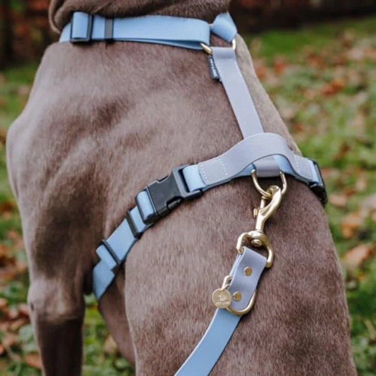 Hey Lana Biothane Hundeleine Führungsleine, Made in Germany, 2 Karabiner & 3-Fach verstellbar, Hund Führleine Leine, Zugleine Hundelaufleine Trainingsleine Handsfree (S, Taupe/blau, 230 x 1,5 cm) – Bild 3