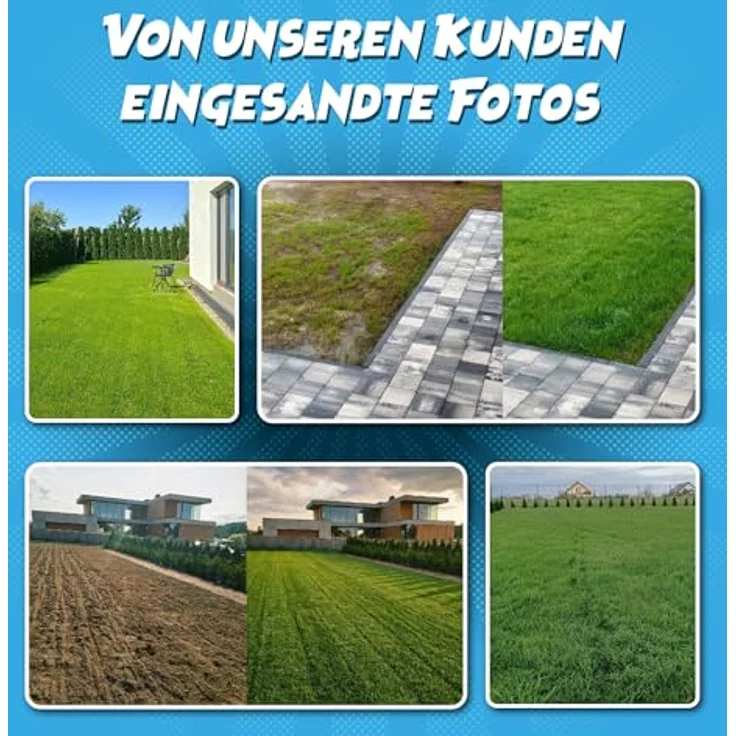 ARPON Premium Rasensamen, Schnellkeimend, robust & pflegeleicht, 5kg für 200m², dichtes, sattgrünes Gras für Nachsaat und Neuansaat im Frühjahr – Bild 3