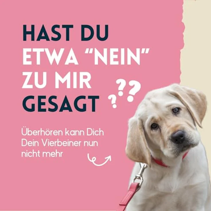 nimo® Ohrenreiniger für Hunde, Katzen & Haustiere mit Aloe Vera & Panthenol, natürliche Reinigung gegen Juckreiz, Entzündungen & Ohrenschmalz, minimiert Kopfschütteln – Bild 4