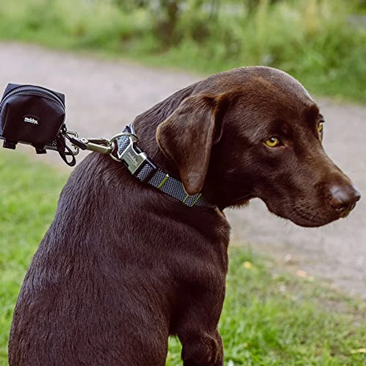 Nobby Halsband Classic Preno Royal, schwarz L: 38-47 cm, B: 20/25 mm, 1 Stück – Bild 2