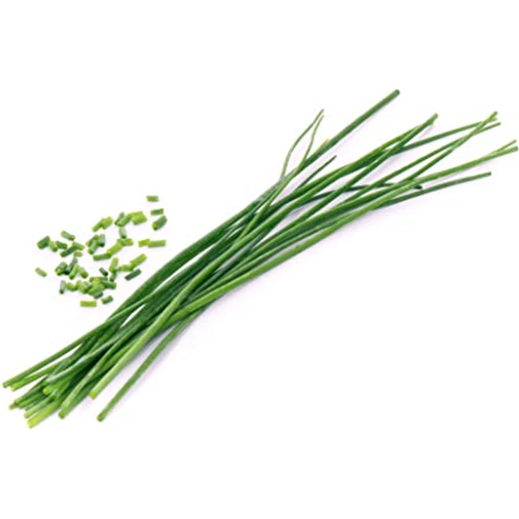 VT Lingot Schnittlauch BIO  – Bild 3