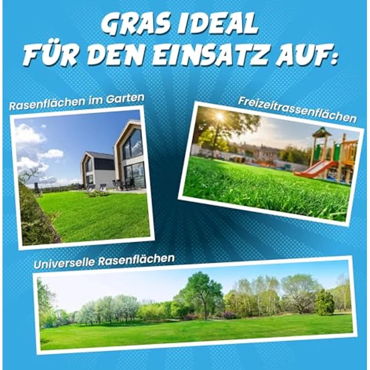 ARPON Premium Rasensamen, Schnellkeimend, robust & pflegeleicht, 5kg für 200m², dichtes, sattgrünes Gras für Nachsaat und Neuansaat im Frühjahr – Bild 5