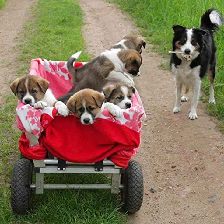 Relaxdays Sackkarrenrad 3.00-4, 2er Set, luftbereift, bis 100 kg, 260 x 85 mm, Ersatzrad Sackkarre, Stahlfelge, schwarz, 2 Stück – Bild 5