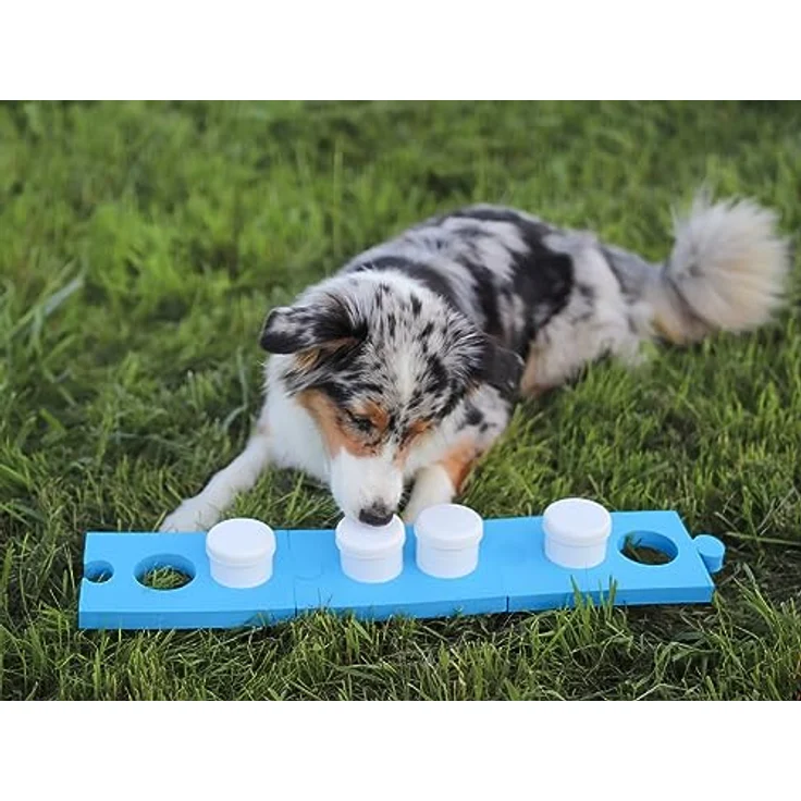 Lemodo Schnüffelset für Hunde mit 4 Dosen, Hundetraining, Geruchssinn, Agility Training für Hunde – Bild 3