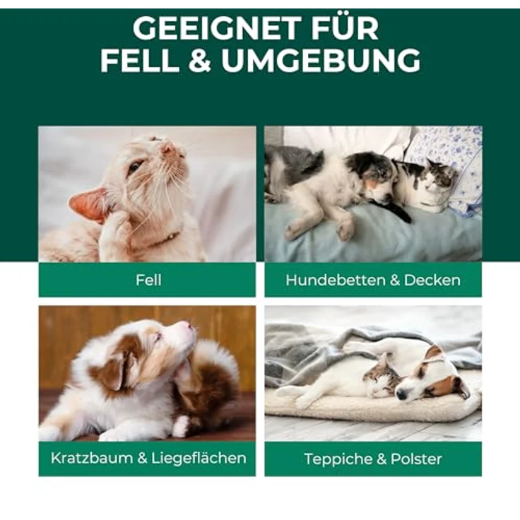 Silberkraft Floh- & Zeckenspray für Hunde und Katzen, 250 ml, mit Zitronen-Eukalyptus-Öl, effektives Repellent – Bild 3