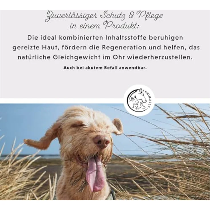 Annimally Ohrmilbenöl Akut, natürliches Mittel gegen Milben beim Hund mit Aloe Vera & Schwarzkümmel, beruhigendes Öl gegen Juckreiz, pflegt & schützt, Made in Germany – Bild 5