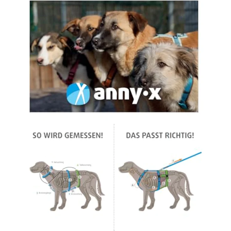 AnnyX Hunde-Geschirr Brustgeschirr Fun - gepolstert - superbequem, Nylon, bequemer Einstieg - für alle Rassen in Rot – Bild 5