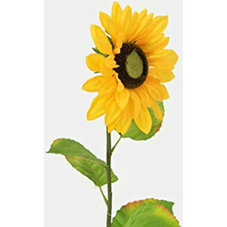 EUROPALMS Sonnenblume, Kunstpflanze, 70cm | Sonnenblume mit langem Stiel – Bild 3