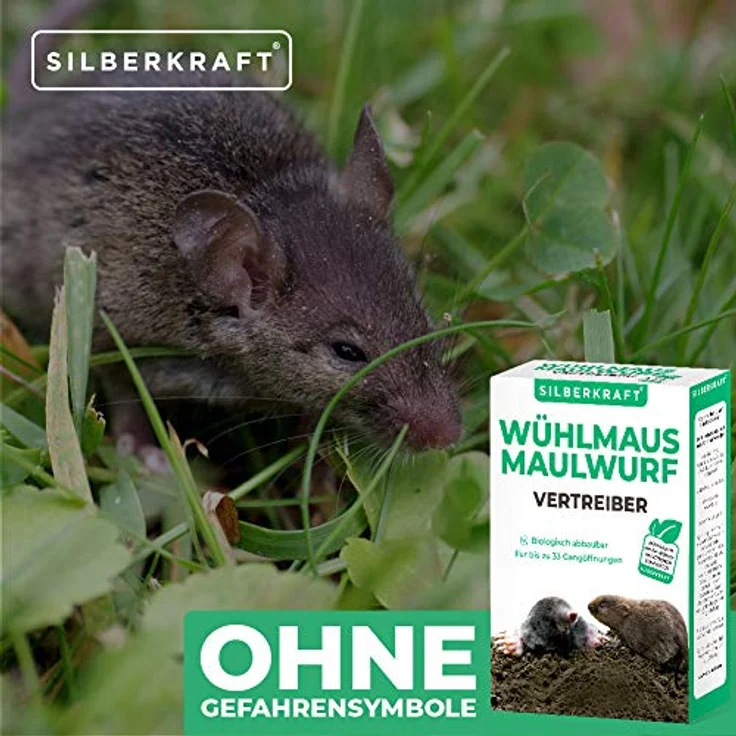 Silberkraft Wühlmaus- und Maulwurfschreck 200 g - Granulat zur Abwehr & Bekämpfung - Maulwurf- und Wühlmausvertreiber zum Vertreiben und bekämpfen - Falle, Gift und Gas Alternative (200 g) - Preisvergleich – Bild 5
