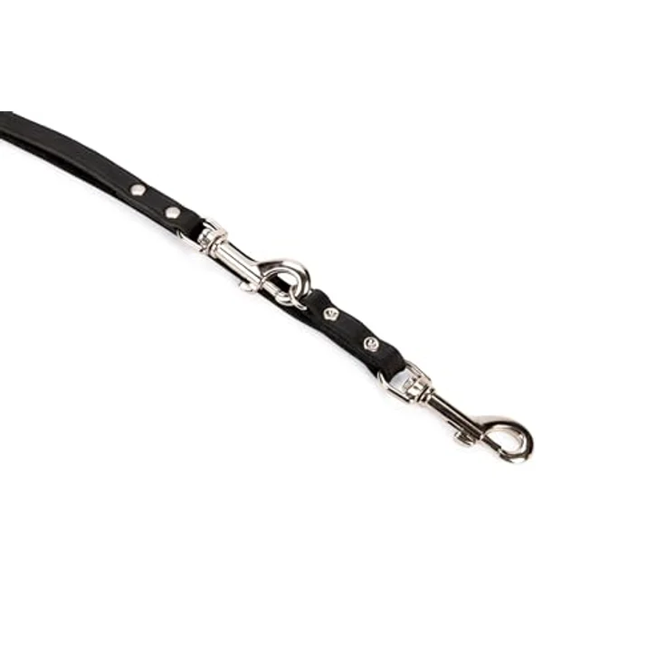 Karlie Rodeo (XS, S, Hund, Spazieren), Halsband + Leine – Bild 2