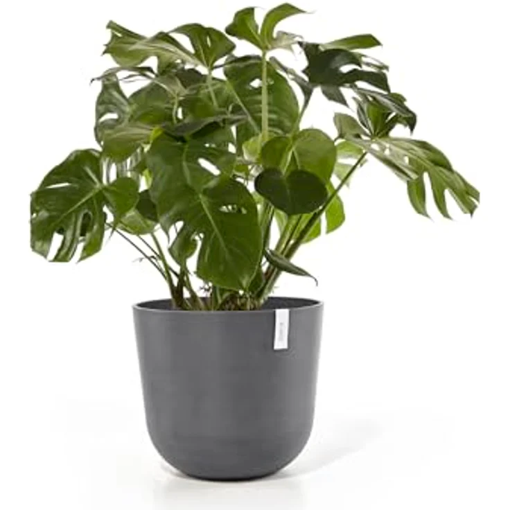 Ecopots Decolines 55 cm Ø graue Kunststoff-Blumentöpfe | Wetterfest für Balkon und Terrasse | Recyceltes Material für langlebigen Gebrauch – Bild 4