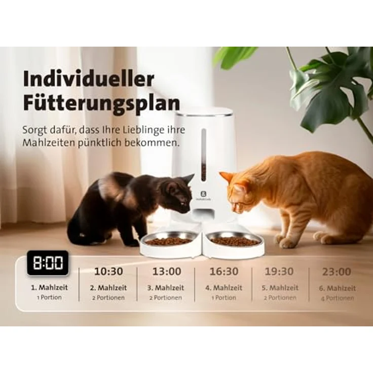 Molly&Cody LUCKY automatischer Futterspender für Haustiere, 4 l mit individueller Fütterungsprogrammierung – Bild 3