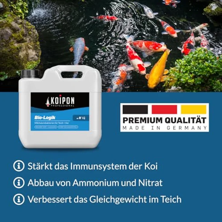 KOIPON Bio-Logik Teich-Milchsäurebakterien 5 L, Nitrit- und Algenbekämpfung, fördert Fischgesundheit und Wundheilung – Bild 5