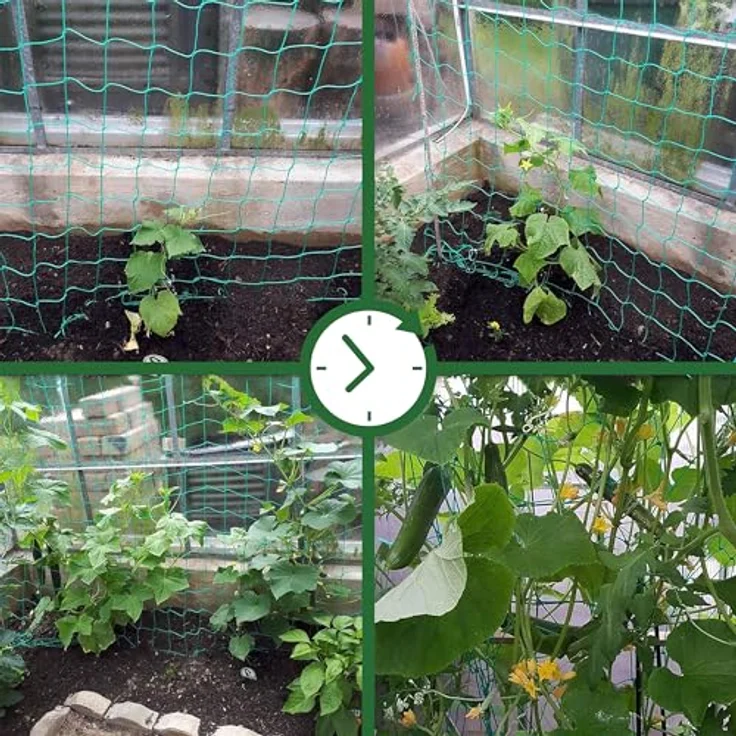 GardenGloss® Ranknetz, große Maschenweite für ertragreiche Ernte von Gurken, Tomaten und Kletterpflanzen, wetterfest und UV-beständig, 2m x 5m – Bild 5