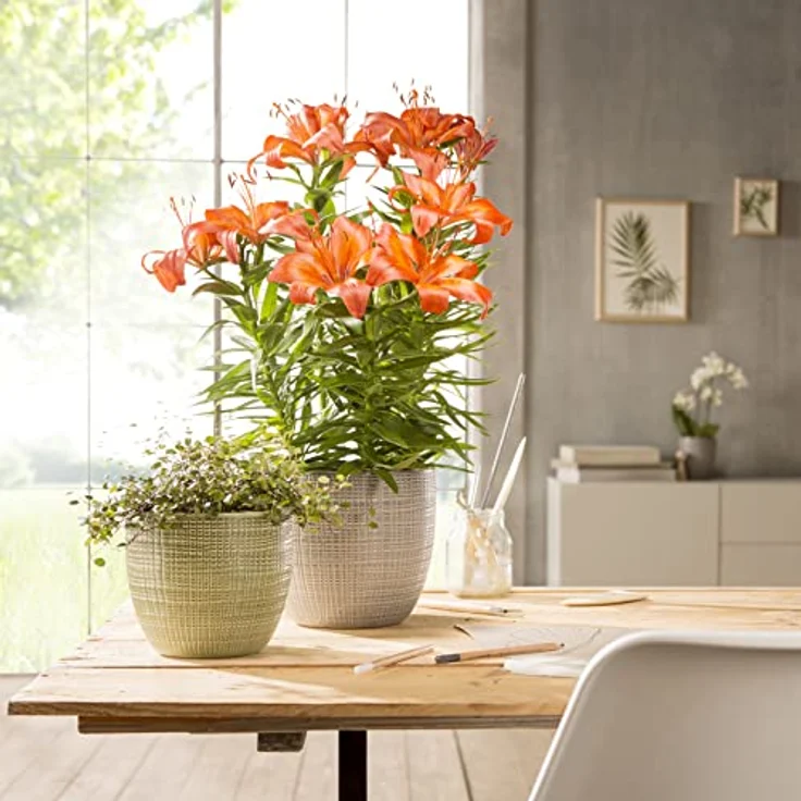 Scheurich Corteza, Blumentopf aus Keramik, Farbe: Menta, 15,6 cm Durchmesser, 14 cm hoch, 1,9 l Vol. – Bild 2