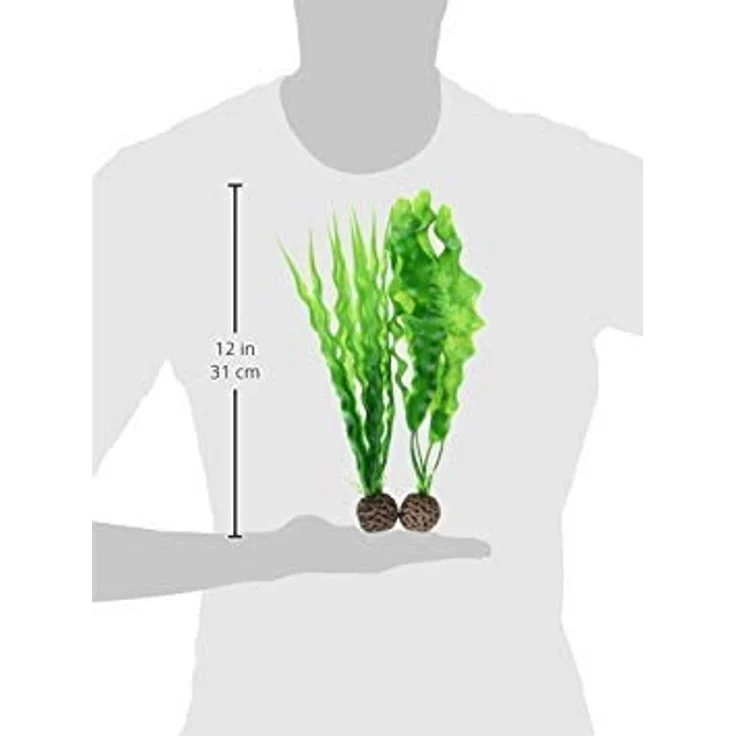 biOrb Pflanzen Set mittelgroß grün (46056) – Bild 2