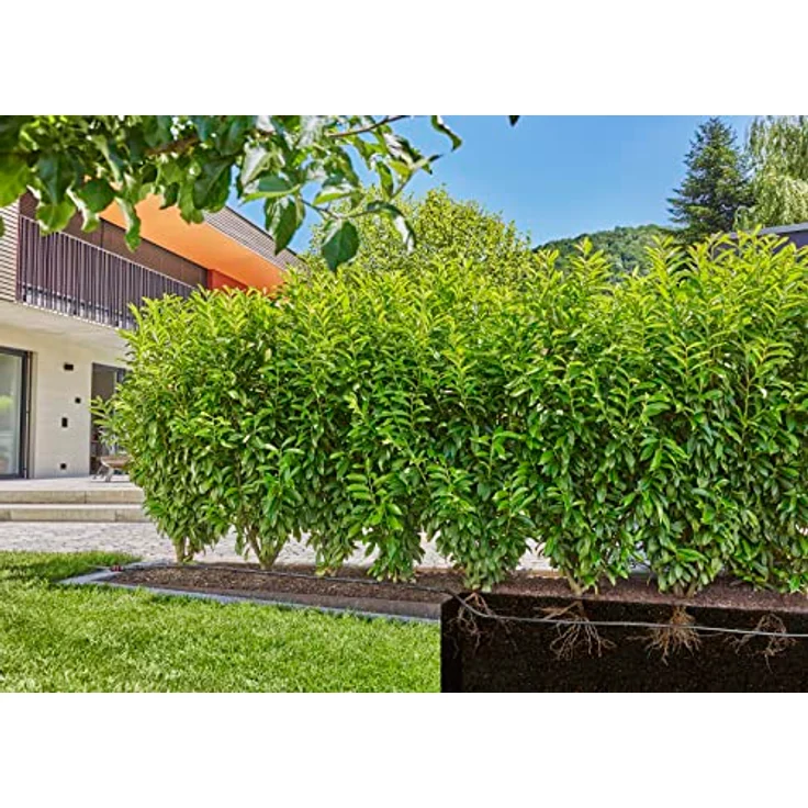 Gardena Micro-Drip-System Rohr 1,6 l/h, 50m Bewässerungssystem – Bild 5