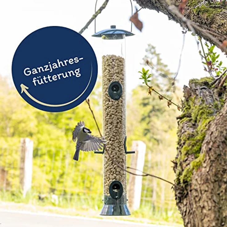 Lyra Pet® | 10 kg Erdnusskerne Splits | Wildvogelfutter Ganzjährig | Nährstoffreiches Streufutter | Energiespender für Alle Wildvögel | Erdnüsse ohne Schale | Vogelfutter für Sommer und Winter – Bild 3