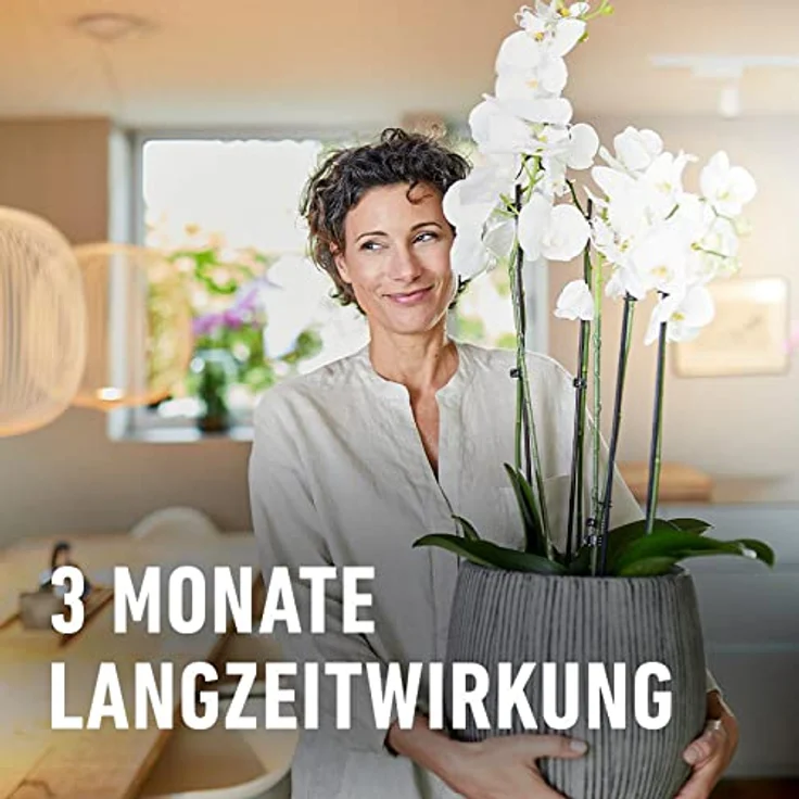 Compo Düngestäbchen für Orchideen – Bild 5