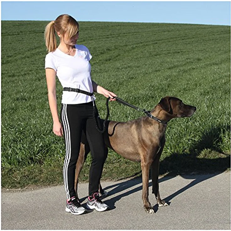 Kerbl 81181 Joggingleine Active mit Hüftgurt – Bild 3