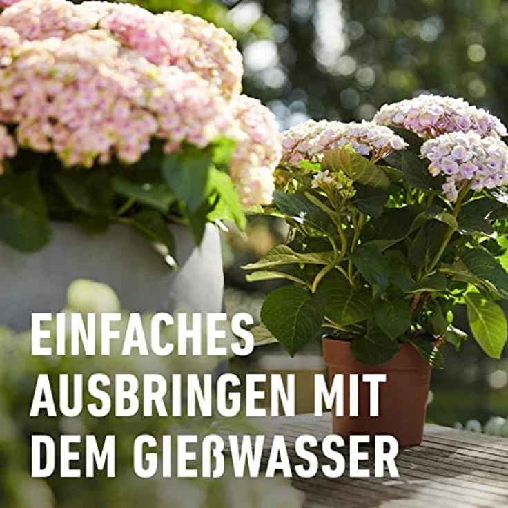 Compo Blühpflanzendünger 500 ml – Bild 7
