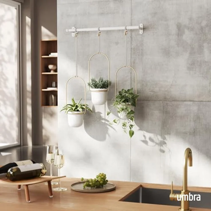 Umbra Triflora Vase, Hängeblumentopf, Wandvase, Blumenampel für Wand-und Deckenanbrinung, Melamin, Metall, Weiss-Messing, 3er Set – Bild 2