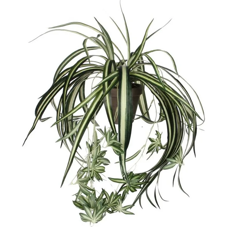 Mica Decorations Kunstpflanze Mica Chlorophytum im Topf grün, 45 x 45 cm, detailgetreue Nachbildung, sofort einsatzbereit - Preisvergleich