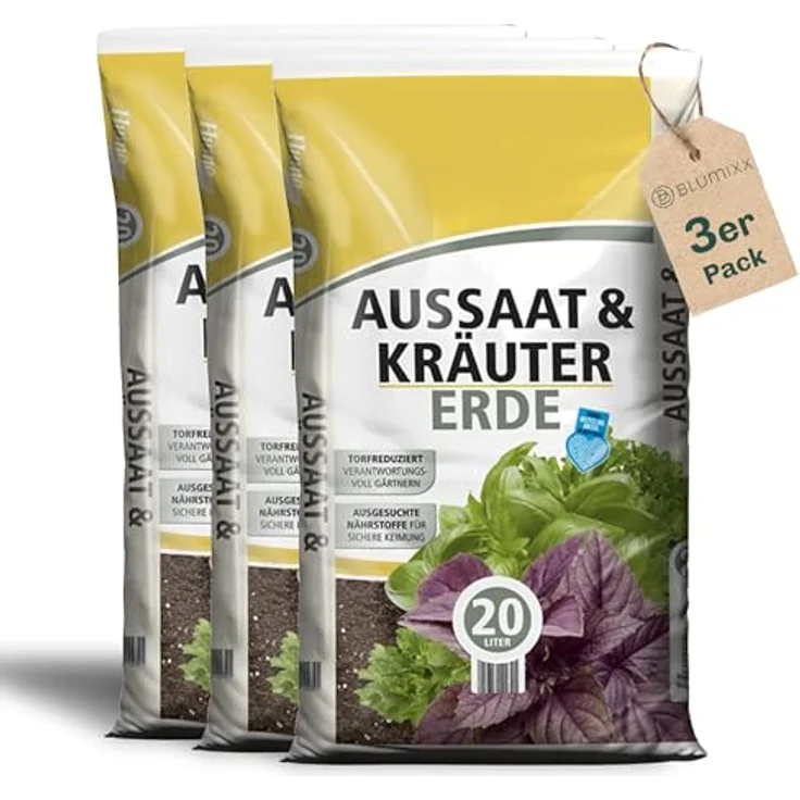Blumixx Stauden Alchemilla sericata Gold Strike - Frauenmantel – Bild 2