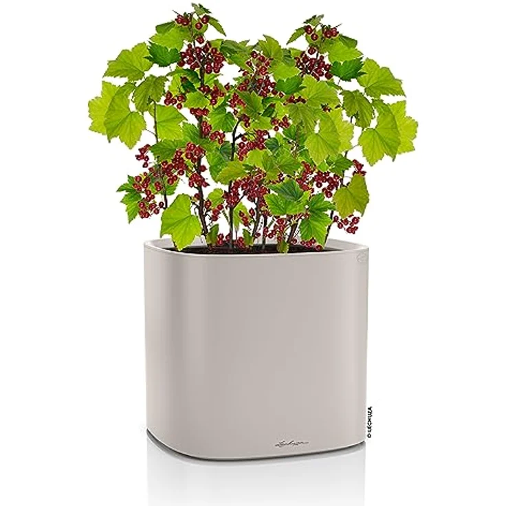 LECHUZA PILA Color Planter sandbraun 15907 – Bild 2