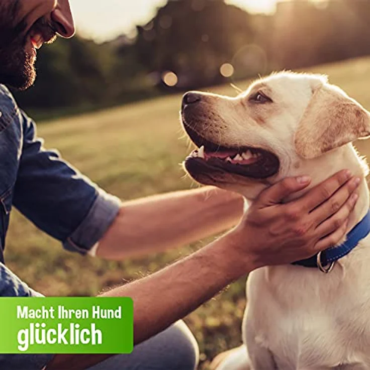 Schecker Nassfutter - 100% Pferd pur - geteidefrei - hypoallergen - echte, Reine Qualitätsware - 24 x 410 g – Bild 5