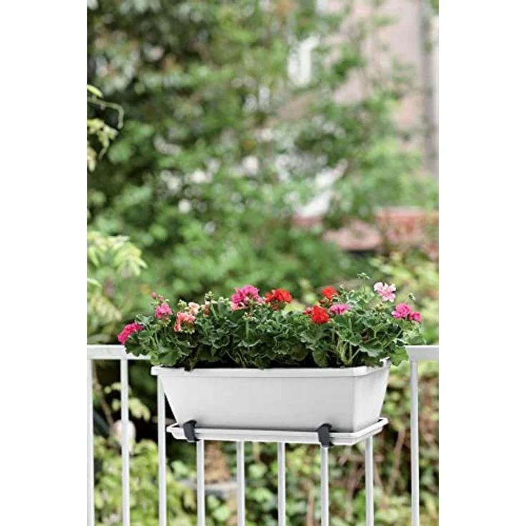 elho Barcelona Balkonkasten Untersetzer 70 - Untersetzer für Balkon & Außen - Ø 65.0 x H 2.8 cm - Weiß/Weiss – Bild 4