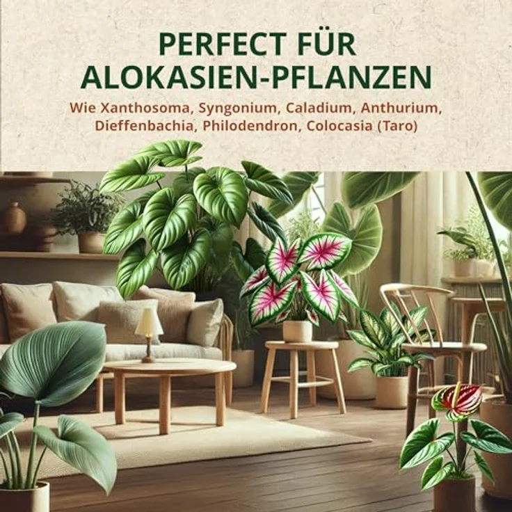 OraGarden Alokasien Alocasia Erde für Zimmerpflanzen - Premium Qualität (9L) – Bild 5