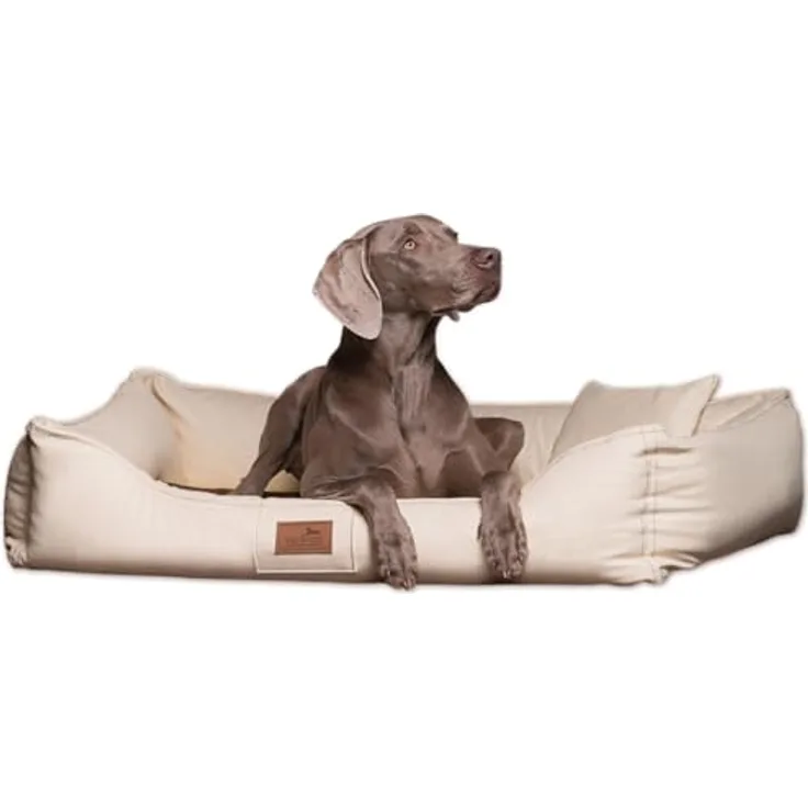 tierlando Maddox Komfort Hundebett Hundesofa Kunstleder S - XXL Größe: MN4-LL 100cm | antistatisch, strapazierfähig, wasserabweisend | Farbe: 05 Creme Beige