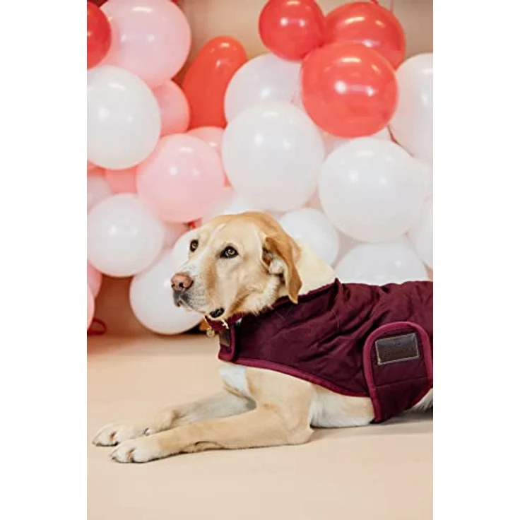 Kentucky Hundemantel Bordeaux XL 60-70cm, 160g Füllung, künstliches Kaninchenfutter, diamantenes Steppmuster – Bild 5