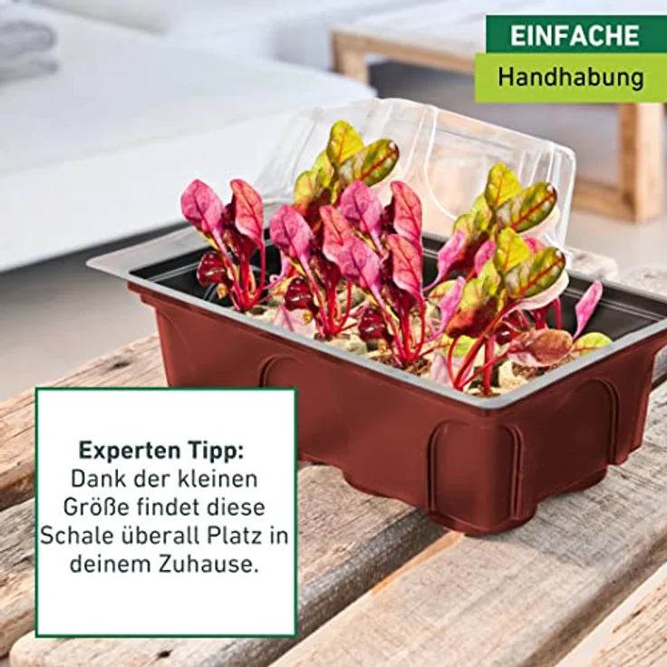 Windhager Zimmer-Gewächshaus Mini inklusiv 8 Quelltabs, terracotta - anthrazit, 11 x 19 x 6 cm, 06842 – Bild 5