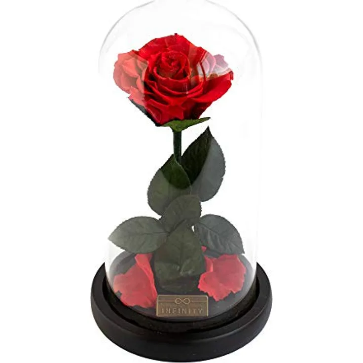 Infinity Flowerbox 10-DR-VR Rose im Glas, Vibrant Red, Dome
