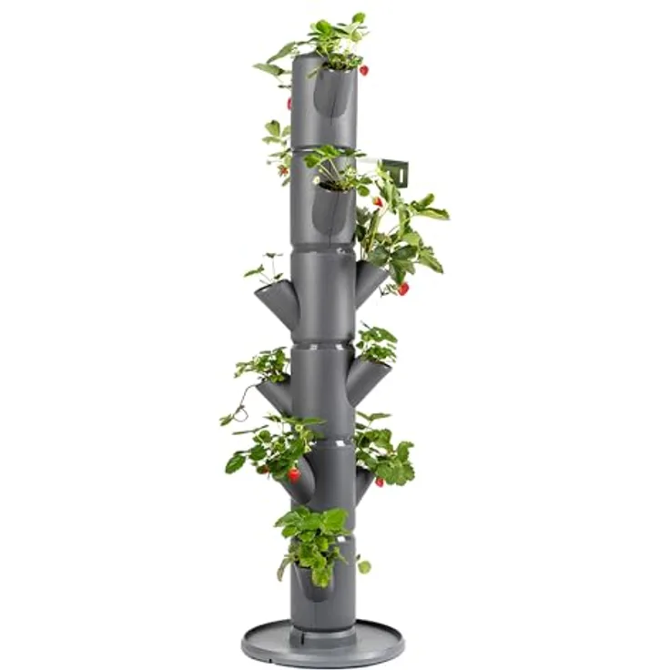 Gusta Garden SISSI STRAWBERRY classic, vertikales Pflanzsystem für Erdbeeren mit 6 Etagen, inkl. Wasserauslaufschutz & Wasserleitsystem, anthrazit