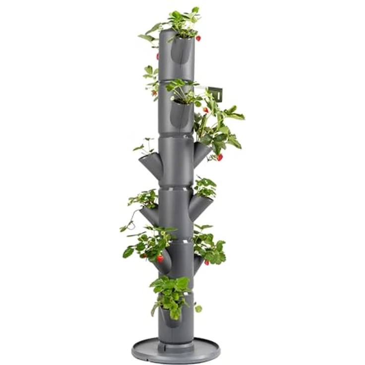 Gusta Garden SISSI STRAWBERRY classic, vertikales Pflanzsystem für Erdbeeren mit 6 Etagen, inkl. Wasserauslaufschutz & Wasserleitsystem, anthrazit – Bild 1