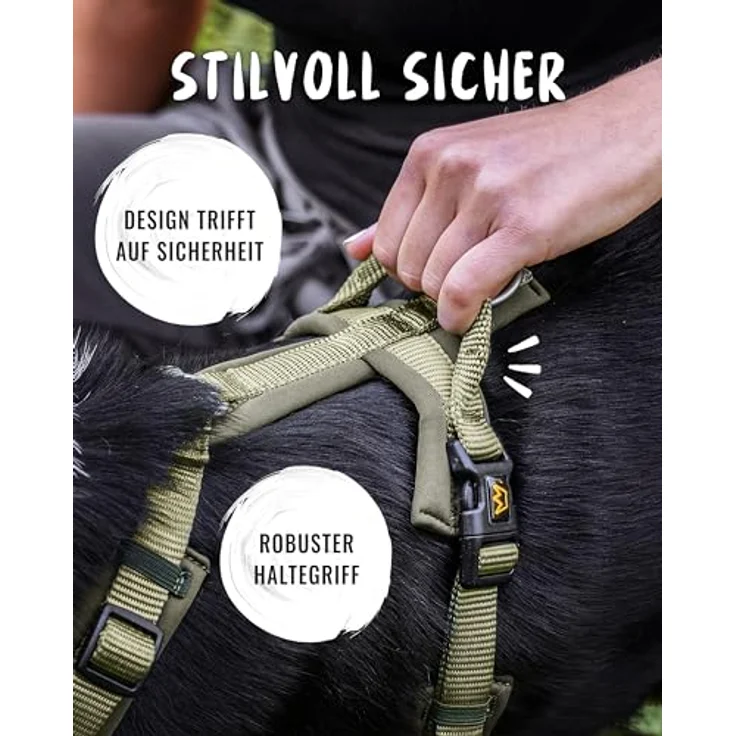 Rudelkönig Hundegeschirr Bella, gepolstertes Y-Design Brustgeschirr mit Haltegriff, verstellbar für kleine und mittelgroße Hunde – Bild 4