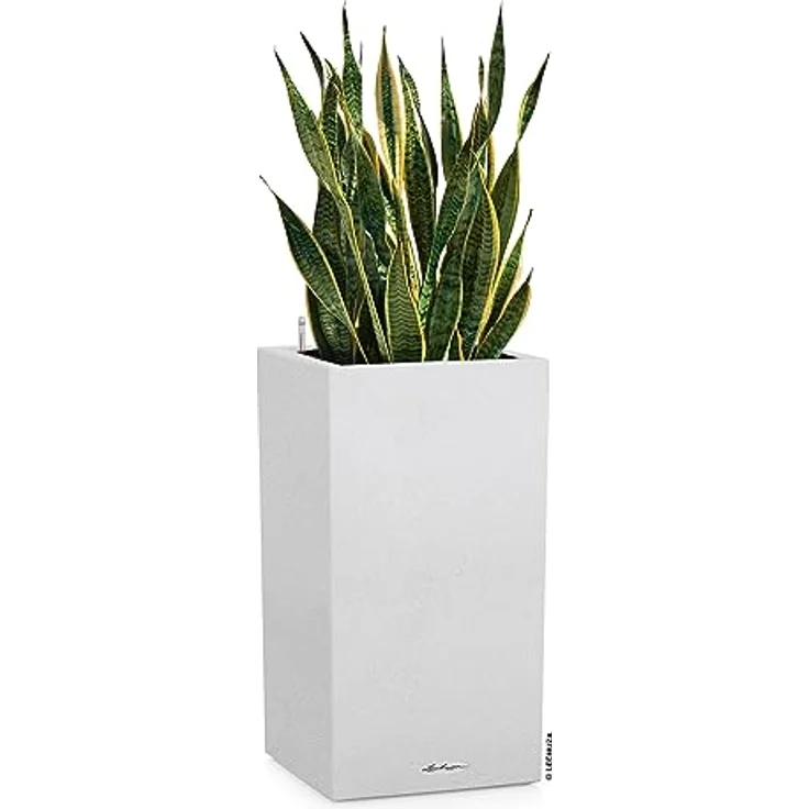 Lechuza Canto Stone 30 high All-in-One Set quarzweiß 13607 – Bild 2