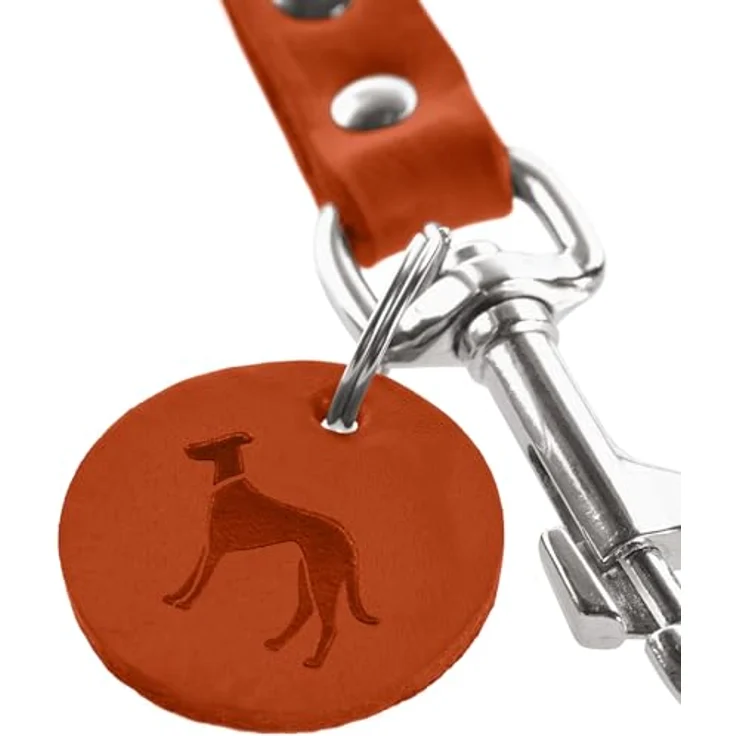 HUNTER Hundeführleine aus hochwertigem Rindsleder (orange, 20/100) - Strapazierfähige Hundeleine aus softem Vollrindleder, made in Germany – Bild 2