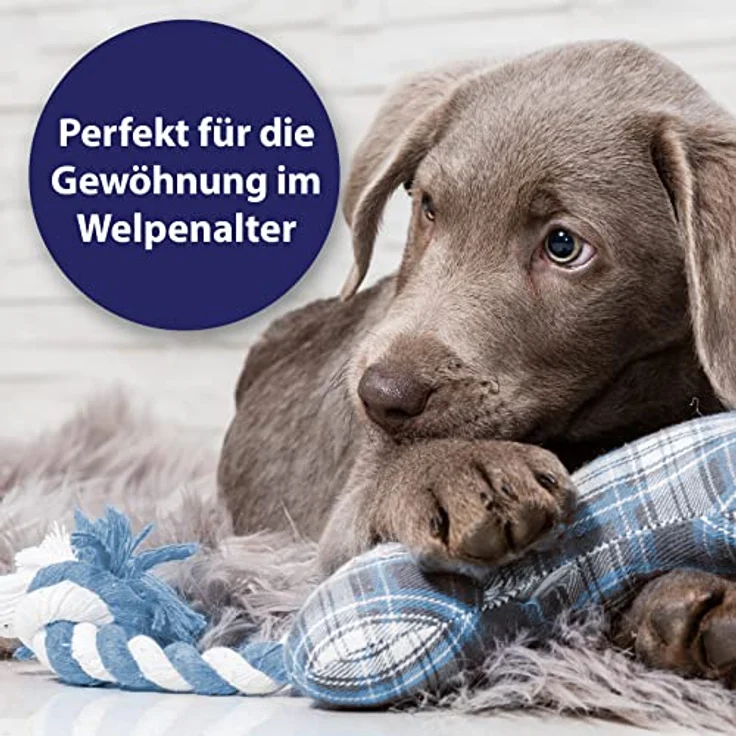 Canosept Fingerlinge Hunde Zahnpflege 3 Stück - Zahnpflege Hund - Zahnsteinentferner Hund - Hundezahnbürste - Zur Reinigung & Hunde Zahnpflege - Mundgeruch Hund - optimale Hunde Zahnpflege – Bild 5