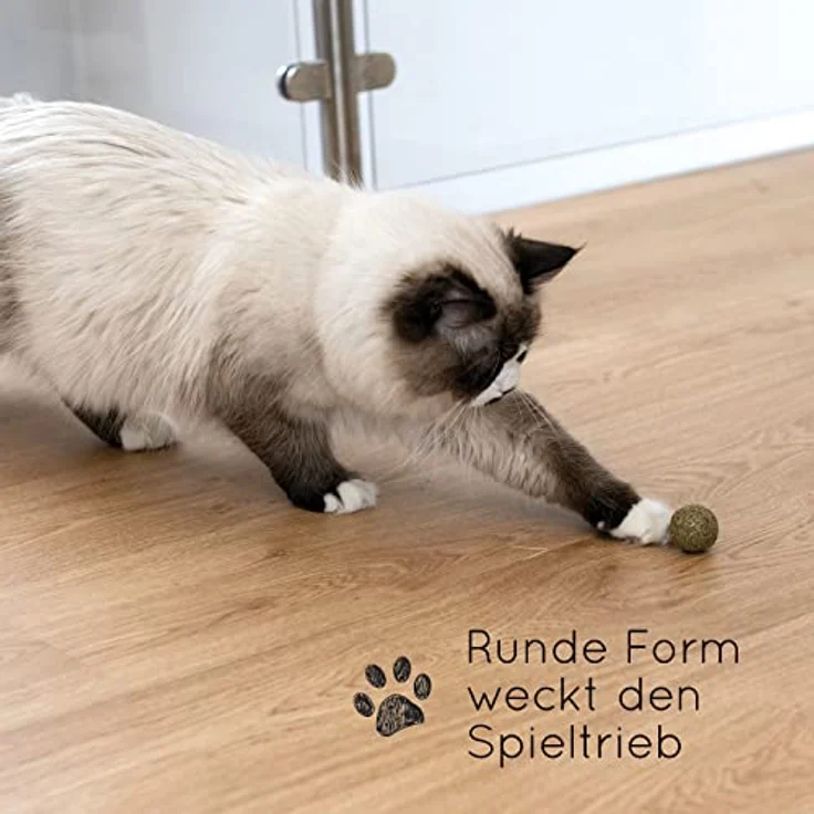 KaraLuna 3X Katzenminze Ball I Katzenminze Spielzeug aus 100% natürlicher Katzenminze getrocknet & gepresst I Katzenspielzeug Katzen Spielzeug Catnip Balls Katze Beschäftigung Fun Ball Katzen – Bild 3