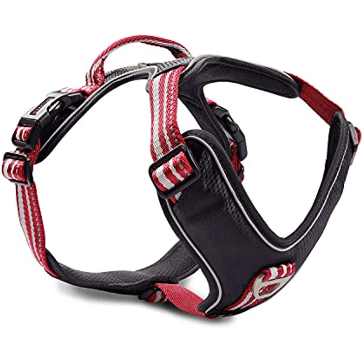 Wolters Active Pro Geschirr Gr. 6, 70-85 cm x 2,5 cm, champagner/silber, gut gepolstert mit reflektierenden Nähten, Halsband + Leine – Bild 3