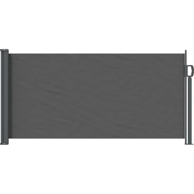 vidaXL Ausziehbare Seitenmarkise Anthrazit, 300 x 100 cm, UV-beständig, wasserabweisend, mit Stahlrahmen und automatischem Rückziehmechanismus – Bild 1