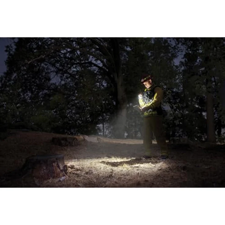Mag-Lite Mini-Taschenlampe LED Mini Maglite AAA silber – Bild 4
