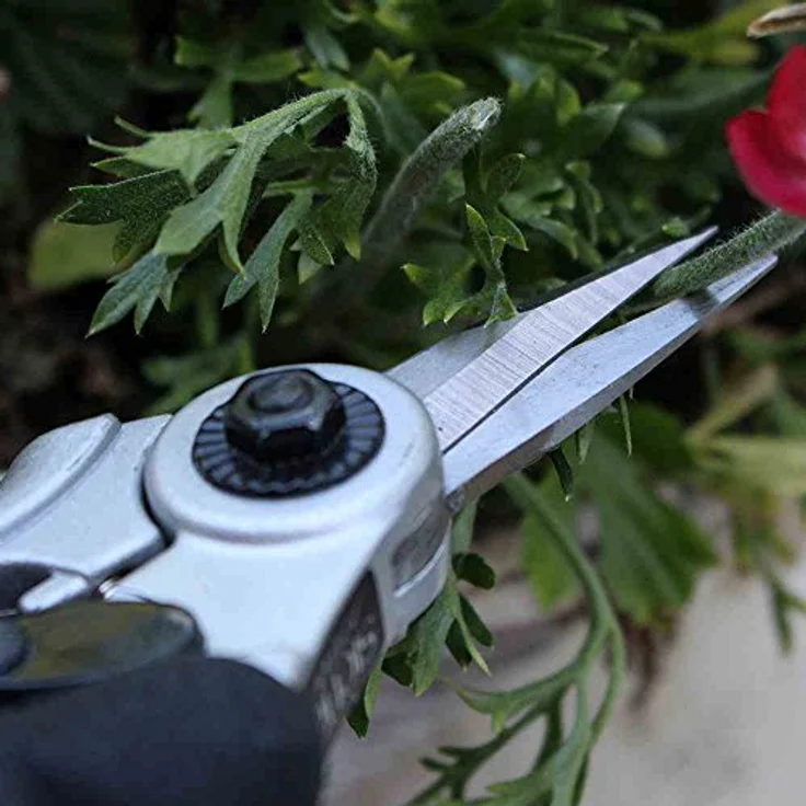 Siena Garden 603130 Bonsaischere ProfiLine Softgriffe, grün,alu mittelgroß – Bild 4